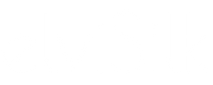 elvisilk-logo-300x120-white-no-bg